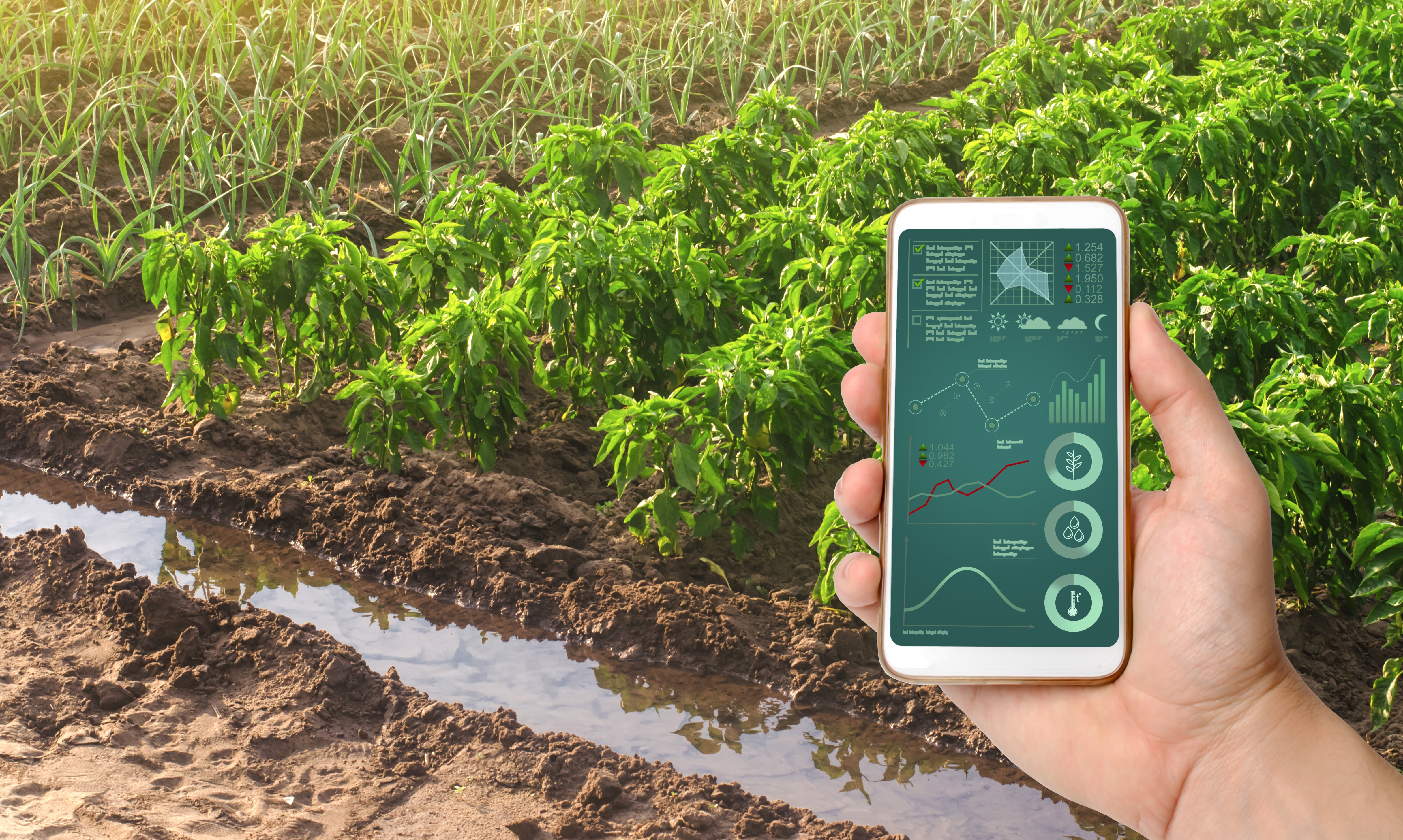 a smartphone with infographics on the background o CYJ3Z99